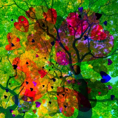 Canopée - 70 x 70
